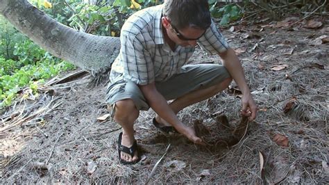 How To Make A Fire By Rubbing Two Sticks Together Survival Training