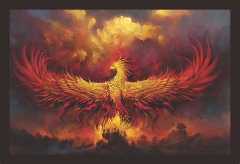 The Legend Of The Phoenix Is It All Just Folklore Procaffenation
