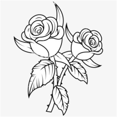 Download High Quality Rose Clipart Black And White Beautiful Flower