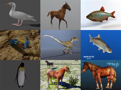 12 Realistic Animal Blender 3d Models Collection Free Download