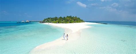 The latest tweets from @maldives Attualità e atolli, dritte per la prossima vacanza alle ...