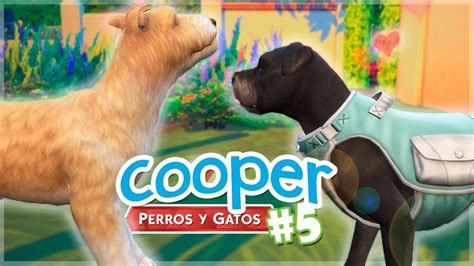 Cuando Sale Perros Y Gatos Sims 4 Noticias Del Perro Otosection