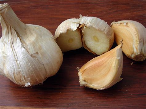 Elephant Garlic, 16 oz. : Southern Exposure Seed Exchange, Saving the ...