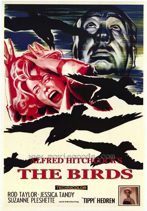 cineblog the birds alfred hitchcock 1963