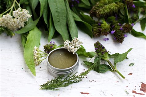 How To Make An Herbal First Aid Ointment LearningHerbs