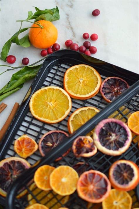 How To Dry Citrus Slices Dried Orange Slices Dried Orange Peel