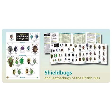 Fsc Fold Out Chart Shieldbugs Tamarack Outdoors