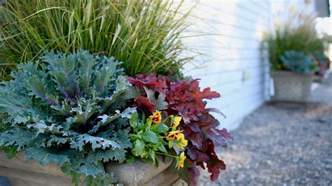 Fall Container Inspiration Garden Answer Fall Containers Garden