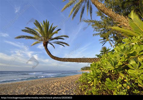 Amerika bilder strand wasser im freien. Amerika Bilder Strand : Kostenlose Foto Strand Meer Natur ...