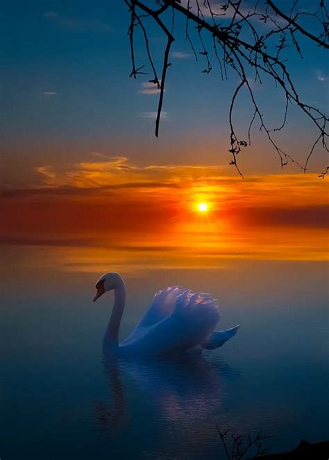 Coiour My World “a Dreamy Evening Tore H ” Beautiful Nature