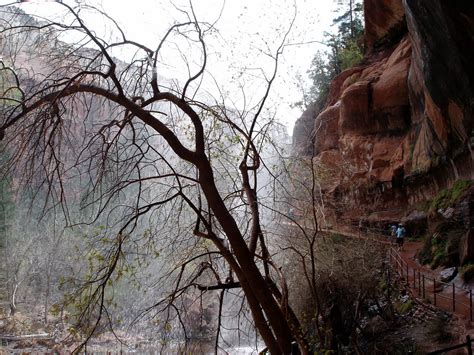Police said there was a shootout between two cars right outside nationals park and three people were shot. The Haley Hiatus: Zion National Park, Utah