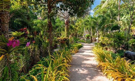 Check back often, we add new. Phuket Kamala Tropical Botanical Garden Resort | Thavorn ...