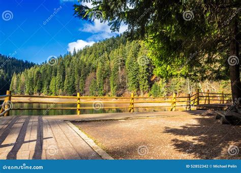 Pier On Mountain Lake Near Forest Stock Photo Image Of Fence Fall