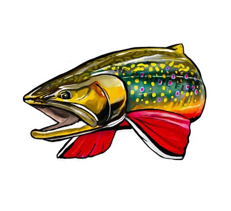 Brook Trout Decal Vinyl Fishing Sticker Fly Fish Wild Etsy