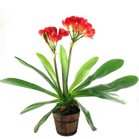 Plus save at your favorite garden & flower shops. Large Tropical Flower Plant! Tree Home Fake Silk ...