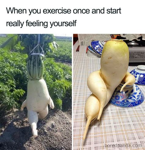 30 Of The Funniest Weight Loss And Diet Memes Bored Panda