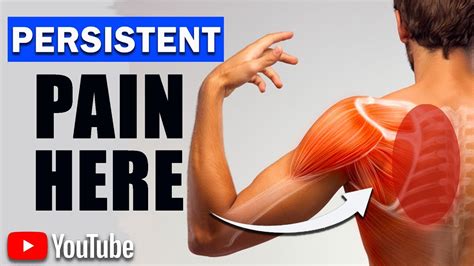 Persistent Rhomboid Pain Best Exercises And Posture Modifications Youtube