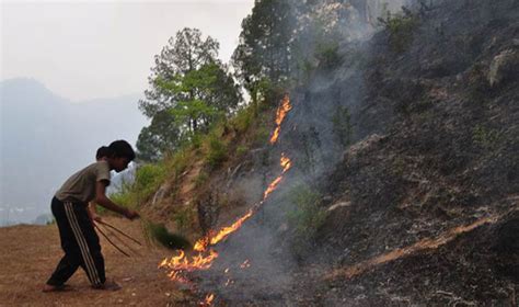Uttarakhand Forest Fire Over 90 Pc Fire Doused Situation To Be In