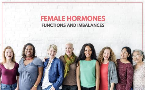 Female Hormones How Do They Function