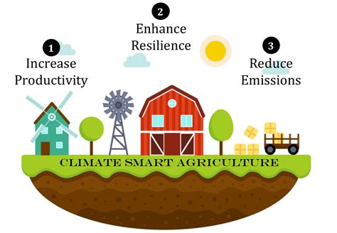 The Carbon Cycle And Climate Smart Agriculture