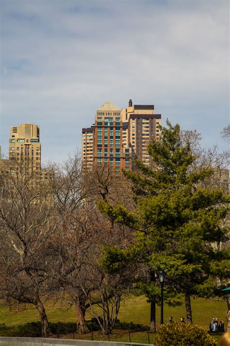 Central Park, NYC Free Stock Photo - Public Domain Pictures