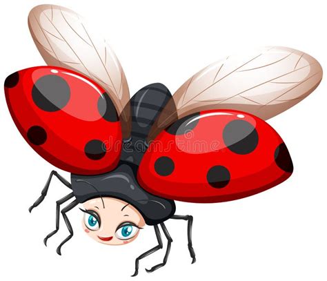 Flying Ladybug Isolated Stock Illustration Illustration Of Flight