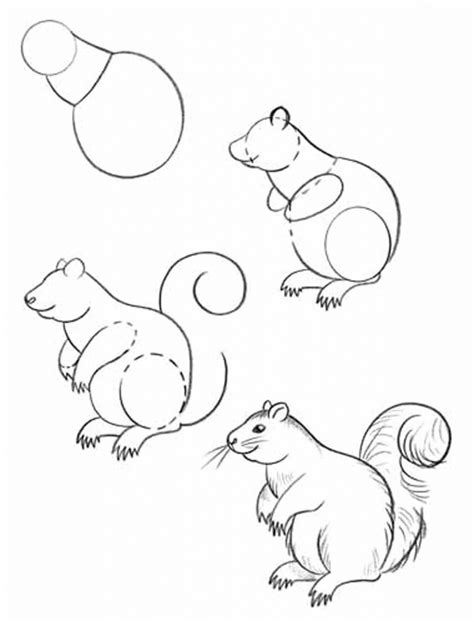 How To Draw Forest Animals Draw Forest Animals Easy Animal Drawings