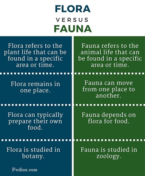 Difference Between Flora And Fauna