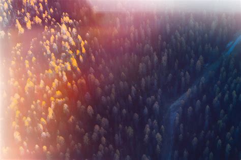 bird´s eye view :: Behance