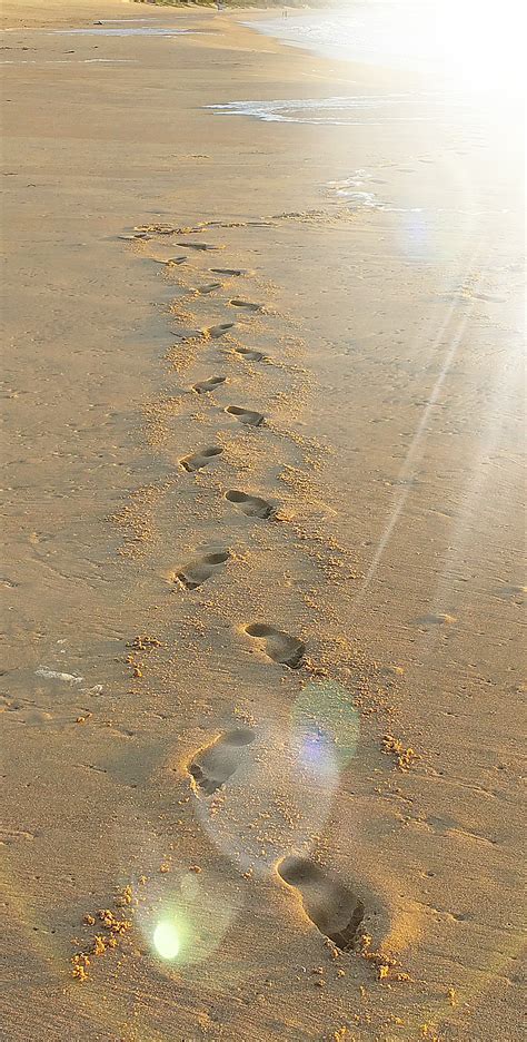 Free Photo Footprints In The Sand Beach Foam Footprints Free