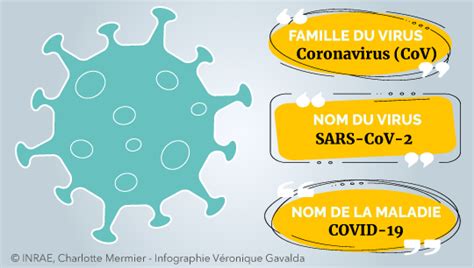 Usurpation d'identité, phishing, logiciels malveillants. SARS-CoV-2 : quel est ce virus émergent ? | INRAE INSTIT