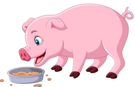 Pig Eating Illustrations Royalty Free Vector Graphics And Clip Art Istock