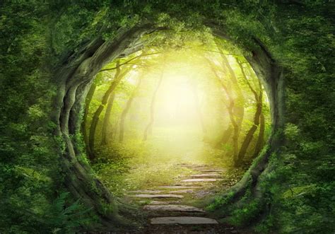 Photography Backdrop Tree Green Screen Chromakey Garden Forest Scenery