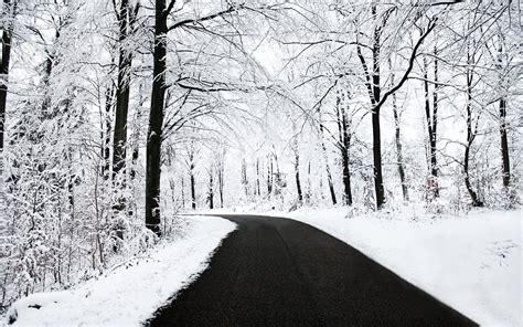 Snow Winter Trees Road Wallpaper Coolwallpapers Me