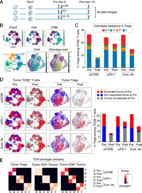 Figure From Ccr Targeted Specific Depletion Of Clonally Expanded Treg Cells In Tumor Tissues