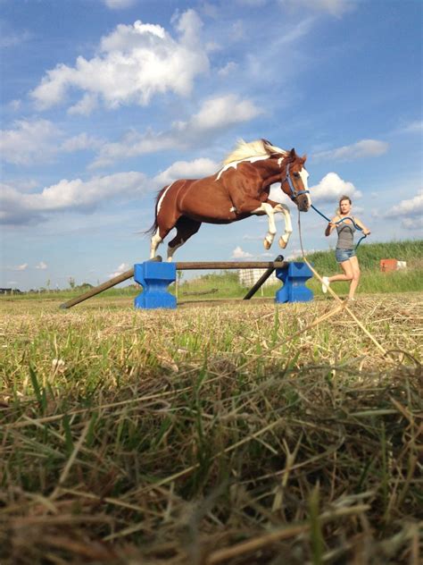 At this page you can find information about peppys license plate of america. PEPPYS PAINTED OLENA - Painted R Ranch