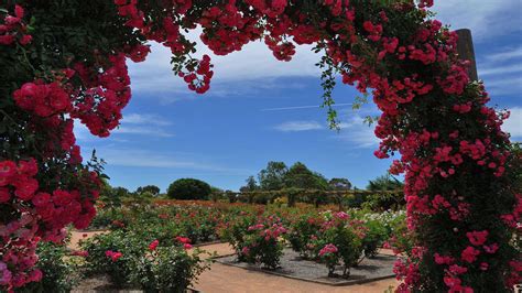 Visit Mildura Australian Inland Botanic Gardens