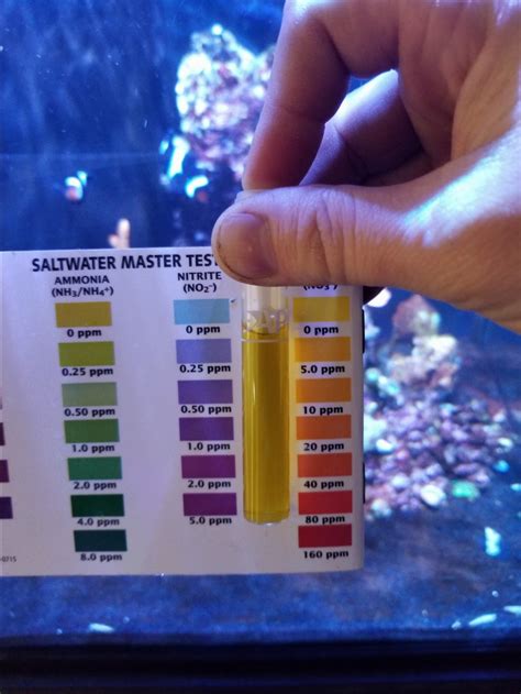 What Level Is The Ideal Level For Nitrate In Saltwater Aquarium