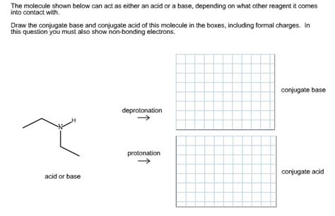 Solved The Molecule Shown Below Can Act As Either An Add Or