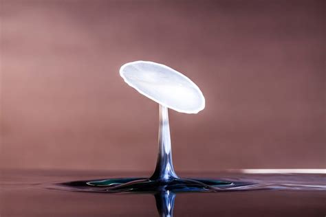 Drip Drop Splash By Adam Karnacz Vantage Medium