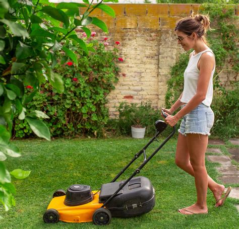 Five Ways To Do Effective Lawn Mowing At Home Lawn Mowing