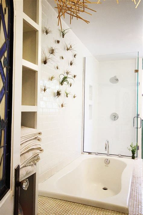 This winter, i've noticed just how stark my powder room appears to be, especially since the countertops are white and the fixtures are. Best Plants That Suit Your Bathroom - Fresh Decor Ideas