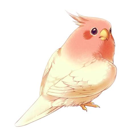 Pink By Era Artwork On Deviantart Cute Birds Animal Drawings Cute