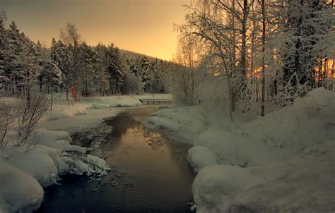 Wallpaper Sunlight Trees Landscape Forest Sunset Lake Water