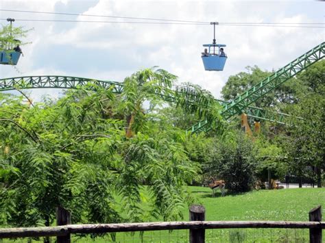 Within the last couple of days, that has changed. Top Ten Busch Gardens Tampa Bay Attractions - Tar Heel Camper
