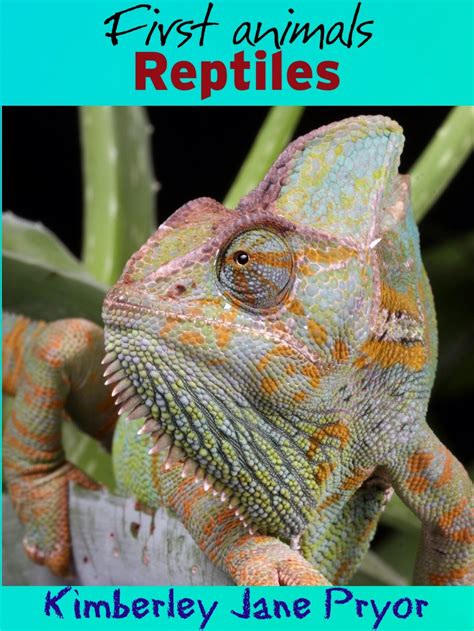 Reptiles First Animals Book 15 Ebook Pryor Kimberley Jane Amazon