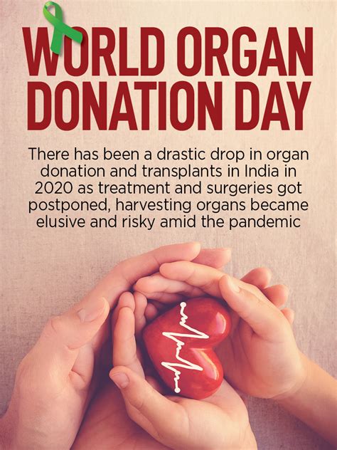 Covid Organ World Organ Donation Day Total Transplants In India Fall