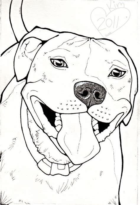 Image Result For How To Draw A Pitbull Face Pitbull Drawing Pitbull