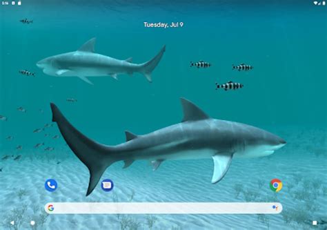 Sharks 3d Live Wallpaper Para Android Descargar
