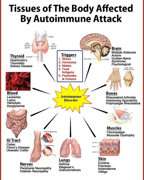 Autoimmune Disorders That Cause Hives Understanding Autoimmune Hives And Its Treatment